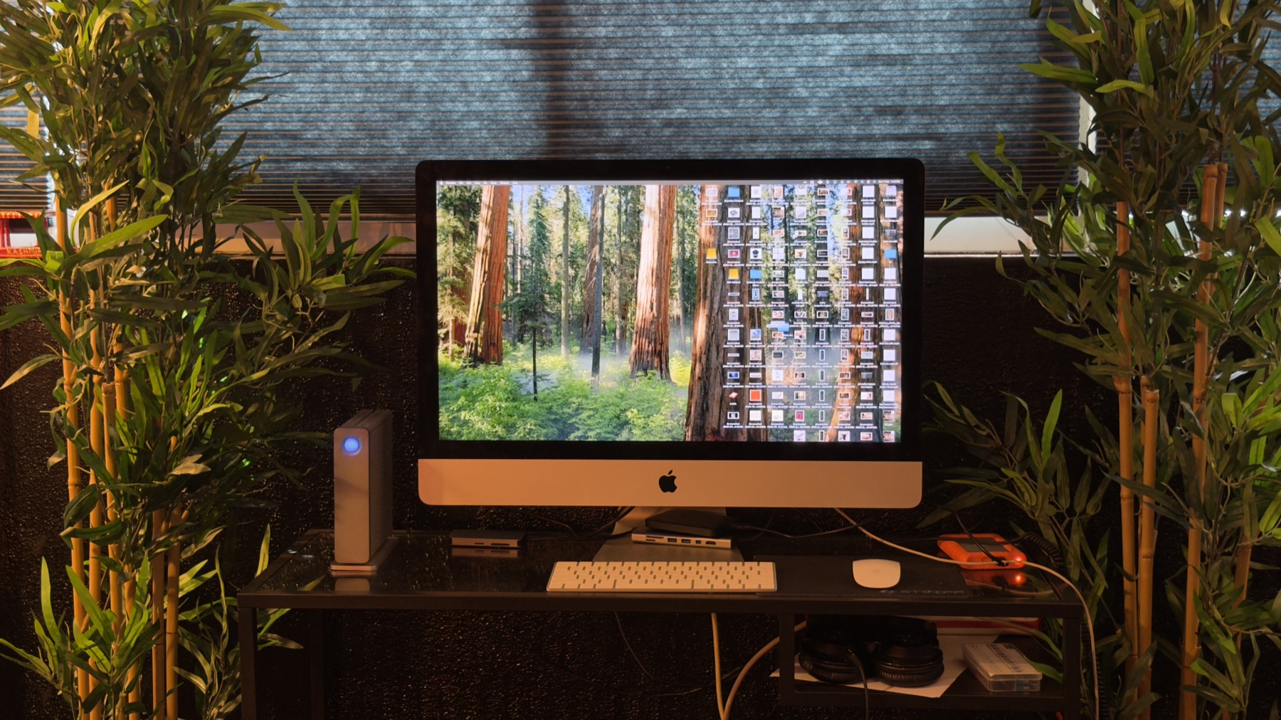 Edit workstation framed by plants